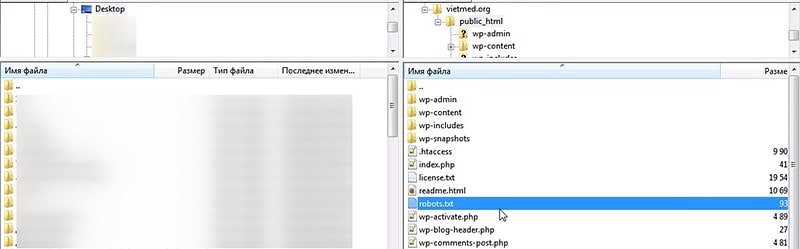 Как добавить robots.txt в WordPress